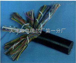 天津市電纜總廠第一分廠 專業(yè)打造礦用通信電纜，保障井下配線與用戶線路穩(wěn)定可靠