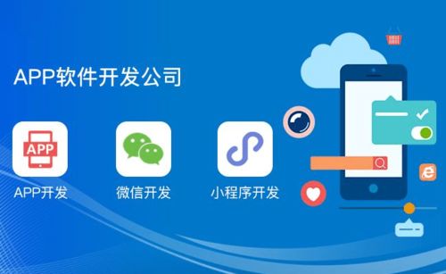 軟件定制開發(fā) 從需求到實(shí)現(xiàn)，打造專屬數(shù)字解決方案